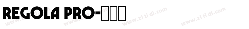 Regola Pro字体转换